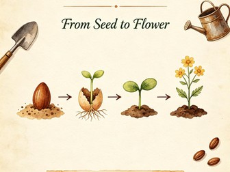 Plant Life Cycle Science Worksheets K-1
