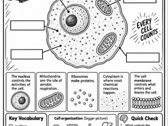 GCSE Cell Biology Colouring Sheets