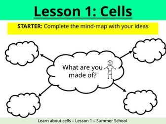 Cells lessons (full bundle)