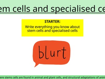 Stem cells and specialised cells lesson