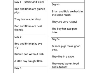 Dictation sentences My Best Friend, Bob KS1 Y1 Y2 SEND editable