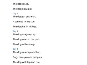 Dictation sentences Dogs Don't Do Ballet KS1 Y1 Y2 SEND editable