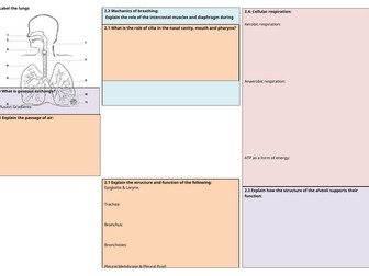 F091 Respiratory system Knowledge organiser