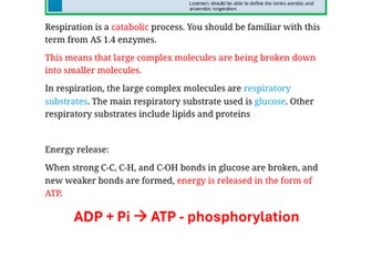 WJEC A level Biology A2 unit 3 topic 3.3 respiration notes