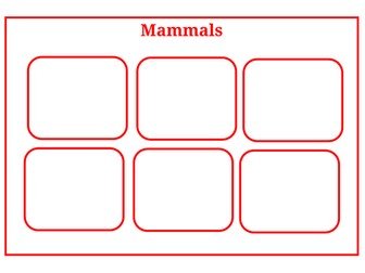 Year 1 Science