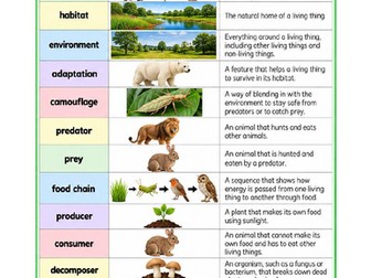 Year 4 Science Vocabulary – Living Things & Habitats