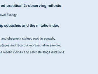 AQA A-Level Biology Required Practical 2: Mitosis & Mitotic Index