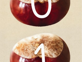 Conker numbers