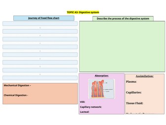 F091 Digestive System Knowledge Organiser