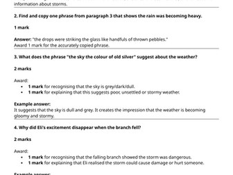 Year 6 Reading Comprehension Week 2 - Reading and Answers