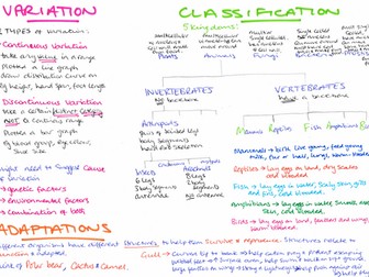 13+ CE variation, adaption and classification