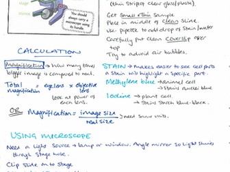 13+ CE Microscopes