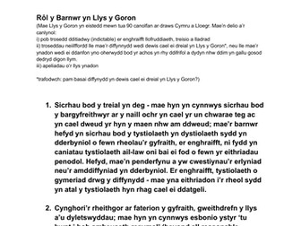 ADNODD ATHRAWON : TROSEDDEG LEFEL 3:  Y BARNWR YN LLYS Y GORON