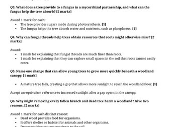 Year 6 Reading Comprehension Week 15 - Reading and Answers