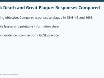 Black Death and Great Plague: Responses Compared