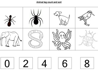 Animal worksheets