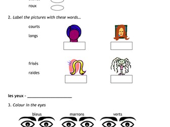Physical Descriptions in French - Worksheet