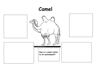 camel suited to its environment