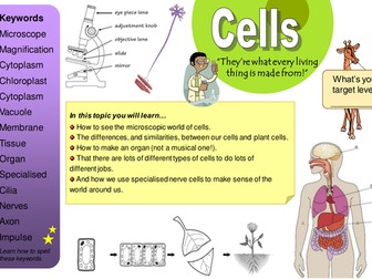 Cells 'Learning Mat' (overview of KS3 Cells topic)