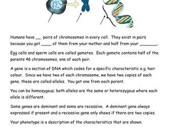 Genetic Variation Worksheet