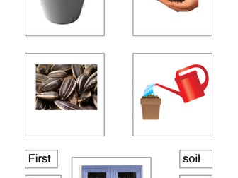 How to plant a seed - writing planner