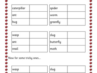 Minibeast alphabetical order