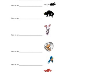 Spanish Pets - Tienes un animal?