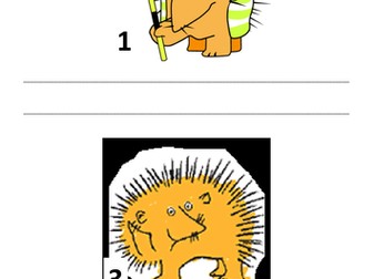 Instructions for green cross code