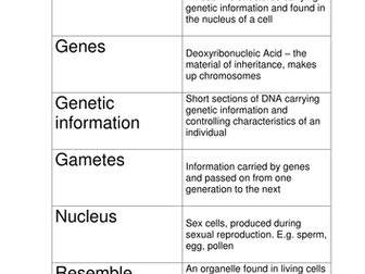 Domino Game Variation Terminology