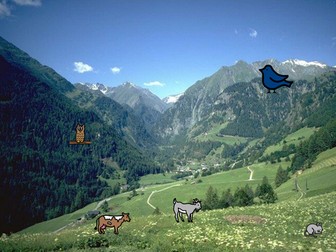 Create a story about animals