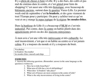 Describing a town worksheet (Lille)