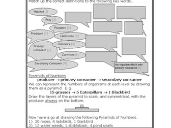 Ecology Worksheet HT