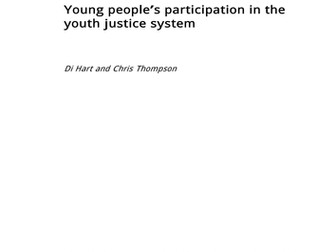 Participation in the Youth Justice System