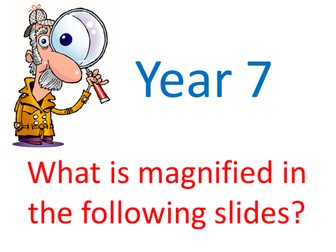 7A Magnified Objects