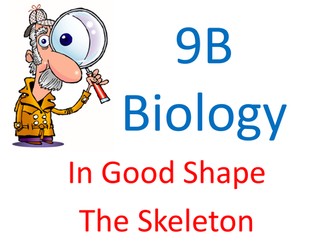 Skeleton Starter: X-Rays