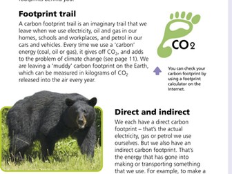 Carbon Footprint summary