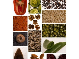 Seeds from the Kitchen