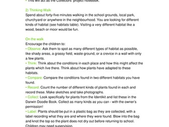 Thinking Walk for 8-9 year olds