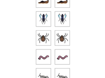 Minibeasts and pond dipping vocab/Count minibeasts