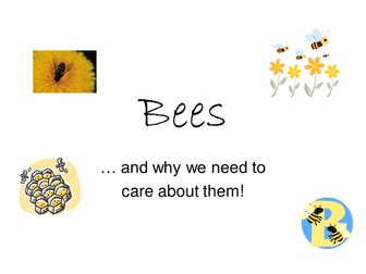 Bees ... and why  we need to care about them!