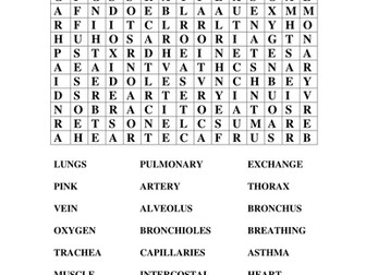 Lungs: Keyword Wordsearch Respiration