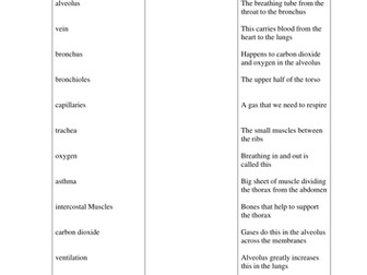 lungs match-up keywords to correct defintions