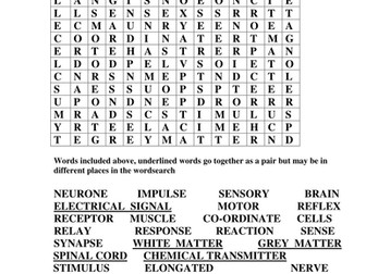 wordsearch for keywords connected to nerves