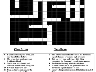 Kidney Keywords: Crossword Puzzle with Answers