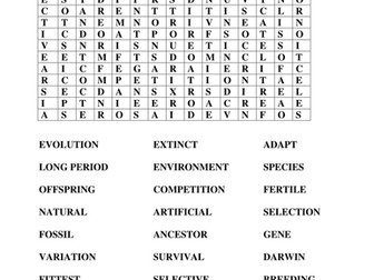 wordsearch for keywords connected to evolution