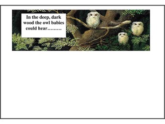 OWL BABIES RESOURCES