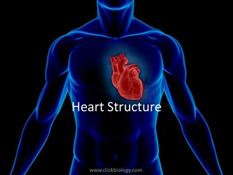 AS Heart structure worksheets, presentation, quiz