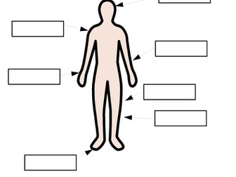 Widgit- French: parts of the body