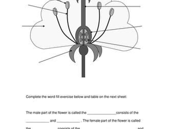 Worksheets and presentation for plant reproduction
