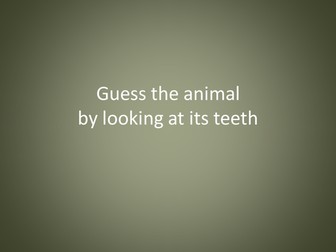 starter about teeth